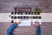 关于河北·石家庄赵县兆融城投债权计划的信息