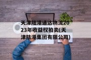 天津陆港通达物流2023年收益权拍卖(天津陆港集团有限公司)