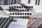 山东菏泽城市发展供应链2024年金融项目(山东菏泽城市发展供应链2024年金融项目招标)