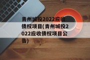 青州城投2022应收债权项目(青州城投2022应收债权项目公告)