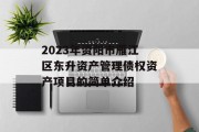2023年资阳市雁江区东升资产管理债权资产项目的简单介绍