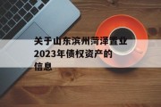 关于山东滨州菏泽置业2023年债权资产的信息