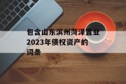 包含山东滨州菏泽置业2023年债权资产的词条