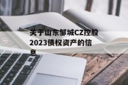 关于山东邹城CZ控股2023债权资产的信息