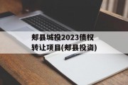 郏县城投2023债权转让项目(郏县投资)