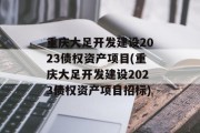 重庆大足开发建设2023债权资产项目(重庆大足开发建设2023债权资产项目招标)