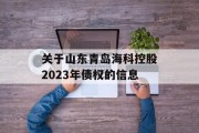 关于山东青岛海科控股2023年债权的信息