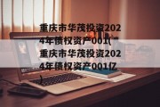 重庆市华茂投资2024年债权资产001(重庆市华茂投资2024年债权资产001亿)