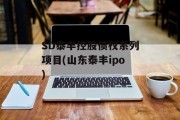 SD泰丰控股债权系列项目(山东泰丰ipo)
