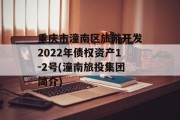 重庆市潼南区旅游开发2022年债权资产1-2号(潼南旅投集团简介)