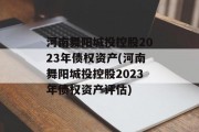 河南舞阳城投控股2023年债权资产(河南舞阳城投控股2023年债权资产评估)
