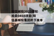 阳信城投2023债权拍卖0458项目(阳信县城投集团的下属单位)