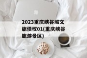 2023重庆峡谷城文旅债权01(重庆峡谷旅游景区)
