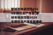 邹城市城资控股2024年债权资产项目(邹城市城资控股2024年债权资产项目有哪些)