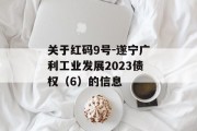 关于红码9号-遂宁广利工业发展2023债权（6）的信息