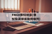 FNGX债权项目(债权投资项目如何填列)