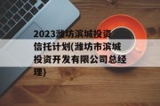2023潍坊滨城投资信托计划(潍坊市滨城投资开发有限公司总经理)