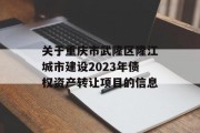 关于重庆市武隆区隆江城市建设2023年债权资产转让项目的信息