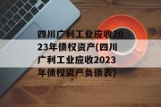 四川广利工业应收2023年债权资产(四川广利工业应收2023年债权资产负债表)