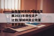 山东邹城市利民建设发展2023年债权资产计划(邹城利民公司董事长调整)
