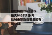 阳信城投2023债权拍卖0458项目(阳信城市建设投资集团有限公司)