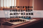 遂宁广利工业发展2023年特定资产拍卖产品(遂宁广利工业发展2023年特定资产拍卖产品有哪些)