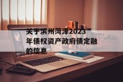 关于滨州菏泽2023年债权资产政府债定融的信息