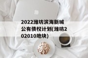2022潍坊滨海新城公有债权计划(潍坊202010地块)