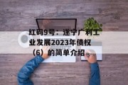 红码9号：遂宁广利工业发展2023年债权（6）的简单介绍