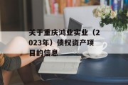 关于重庆鸿业实业（2023年）债权资产项目的信息