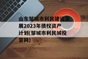 山东邹城市利民建设发展2023年债权资产计划(邹城市利民城投官网)