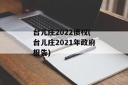 台儿庄2022债权(台儿庄2021年政府报告)