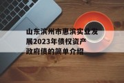 山东滨州市惠滨实业发展2023年债权资产政府债的简单介绍