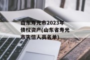 山东寿光市2023年债权资产(山东省寿光市失信人员名单)