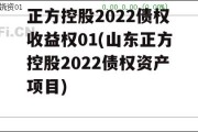 正方控股2022债权收益权01(山东正方控股2022债权资产项目)