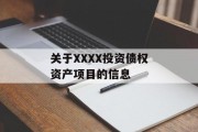 关于XXXX投资债权资产项目的信息