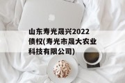 山东寿光晟兴2022债权(寿光市晟大农业科技有限公司)