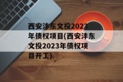 西安沣东文投2023年债权项目(西安沣东文投2023年债权项目开工)