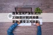 西安泾河产发投资2023融资计划|政府债定融(西安泾河项目)