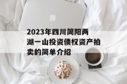 2023年四川简阳两湖一山投资债权资产拍卖的简单介绍