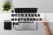 山东鲁青城运2023债权计划(高青县鲁青城市资产运营有限公司 评级)