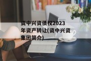 资中兴资债权2023年资产转让(资中兴资集团简介)