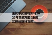 重庆市武隆喀斯特2023年债权项目(重庆武隆喀斯特官网)