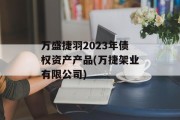 万盛捷羽2023年债权资产产品(万捷架业有限公司)