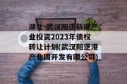 湖北-武汉阳逻新港产业投资2023年债权转让计划(武汉阳逻港产业园开发有限公司)
