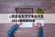 包含山东济宁鱼台兴鱼2023债权的词条