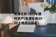 天津北辰2023年债权资产(天津北辰2020土地出让信息)