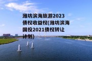 潍坊滨海旅游2023债权收益权(潍坊滨海国投2021债权转让计划)