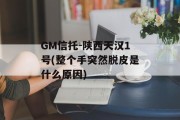 GM信托-陕西天汉1号(整个手突然脱皮是什么原因)