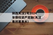 陕西天汉1号2024年债权资产定融(天汉集团董事长)